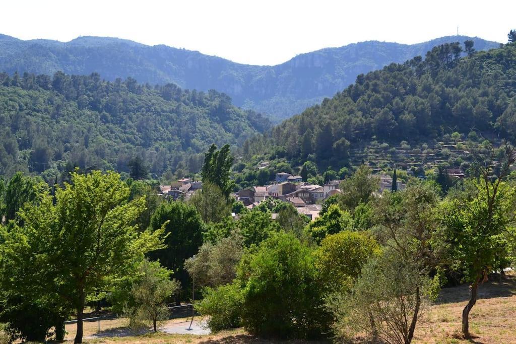 Cosy Provencal Lägenhet Belgentier Exteriör bild