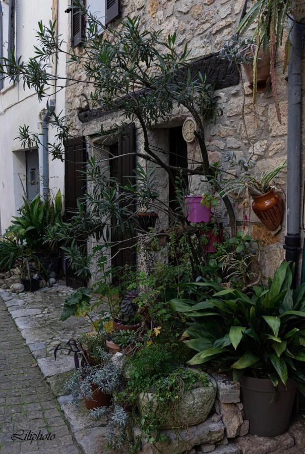 Cosy Provencal Lägenhet Belgentier Exteriör bild
